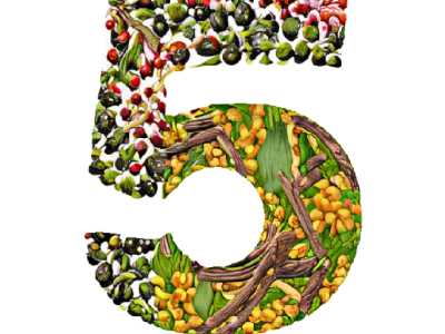 Celebrating Five Spirited Years of The Biggar Spirits Company